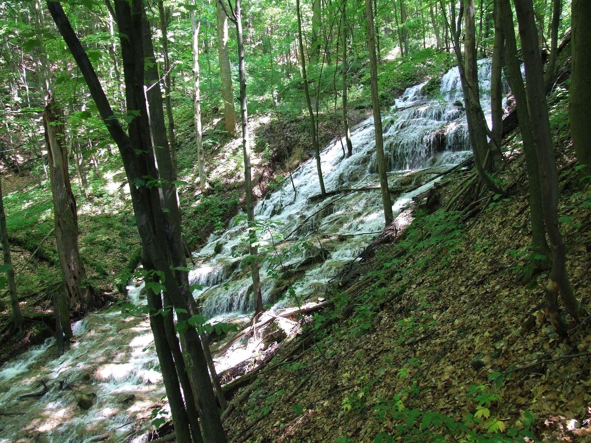 15. Sebesvíz.jpg